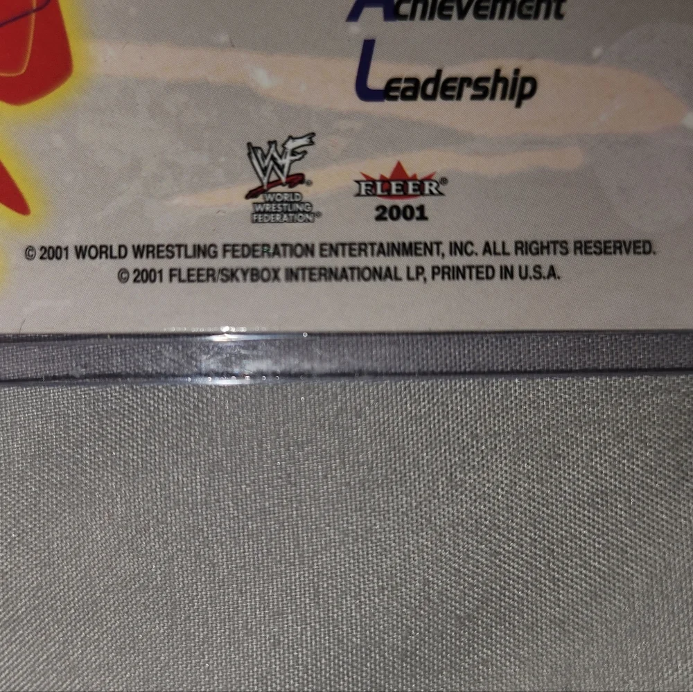 IVORY - 2001 Fleer -  WWF Get Real With KB - TRADING CARD